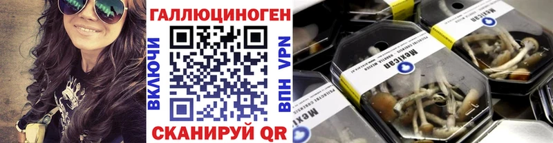 Псилоцибиновые грибы Psilocybe  Купить закладки  Верхний Уфалей 